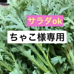 春菊200g以上箱込み250g以上ネコポスいっぱいのサムネイル