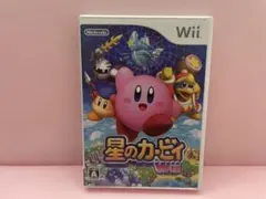 커비의 드림 랜드 Wii 소프트웨어 운영 확인