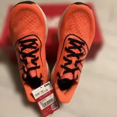 Item thumbnail for item 12e2c874-981d-4eae-a1dd-ae762aaa318c