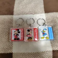 東京ディズニーランド アクリルキーホルダー 3個セット