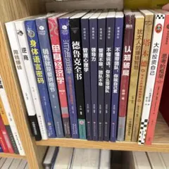 经营 管理 投资 销售相关书籍17册中国語書籍 まとめ売り 经营 管理 投资 销售相关书籍16册中国語書籍 まとめ売り - メルカリ