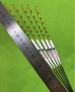 Item thumbnail for item a89ffd06-7662-4479-86d6-c6e45cc96b31