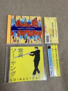 HOLiDAYS & GOING STEADY　童貞ソー・ヤング　帯付　ゴイステ