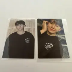 SEVENTEEN CARATLAND トレカ ウジ 2枚