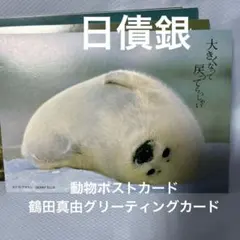 日債銀　動物ポストカード10枚　鶴田真由グリーティングカードと写真アルバム2冊
