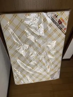 Item thumbnail for item e1e03744-753c-4f41-965f-7a9930fdf381