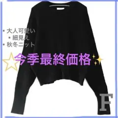 【最終セール☆】秋冬ニット　ブラック リブ編み クルーネック　セーター　F