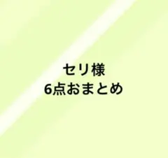 セリ様 リクエスト 6点 まとめ商品