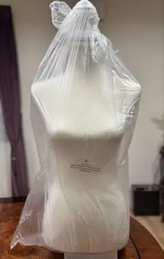 Item thumbnail for item 86636c86-4f4e-426a-8922-aecf72b05f78