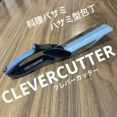 Item thumbnail for item b7c3b88a-fc20-4fb7-8a48-7a97fc29eefe