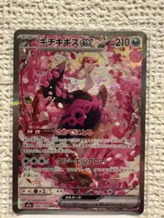 キチキギスex SAR