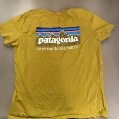 Patagonia Tシャツ Mサイズのサムネイル