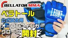 2026年最新】ベラトール グローブの人気アイテム - メルカリ