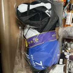 タイトーくじA賞イクイノックス
