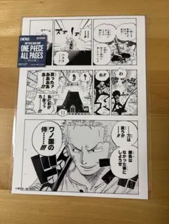 원피스 ALL PAGES ゾロ リューマ