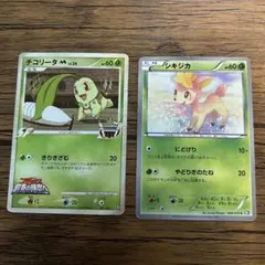 [ポケモン]ポケモンカード チコリータ、シキジカのサムネイル