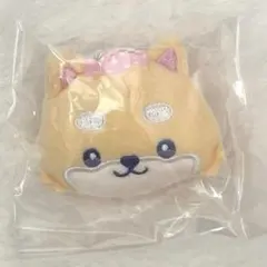 JOCHUM ジェオチャム ぬいぐるみブローチ まめちぃ 豆原一成 JO1