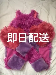 チシャ猫　マフラーファンキャップ