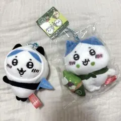 ハチワレセット