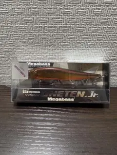 Item thumbnail for item 9f76a954-9034-4421-b37d-83fa1a4c4b1f