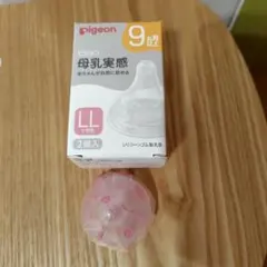 Pigeon 母乳実感 LLサイズ 1個
