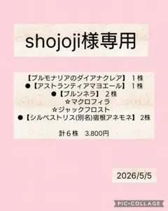 shojoji様専用のサムネイル