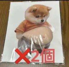 Item thumbnail for item 15f614c8-7435-4e1c-a17a-b0c909a56aa5