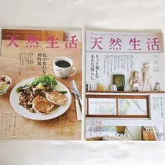 Item thumbnail for item 290a0e98-de45-487d-b8f9-eccf6eb2a89b