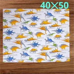ランチョンマット 40×50 恐竜柄 男の子 給食 小学校 ハンドメイド73