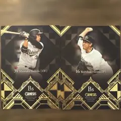 Item thumbnail for item 2f8dea1d-fadc-4b9e-a58e-0f515884c696