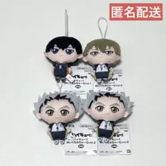 ハイキュー!! ぬいぐるみちゃーむ 影山飛雄 木兎光太郎 木葉秋紀 まとめ売り