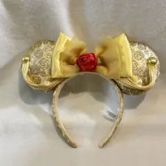 ⭐︎ディズニーカチューシャ⭐︎美女と野獣