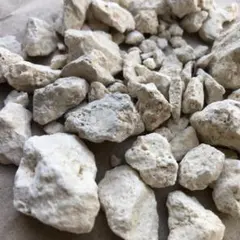 109 琉球石灰岩 砂利 100g