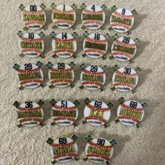 福岡ソフトバンクホークス　2019　ピンバッジ　18個セット