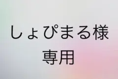 しょぴまる様専用　ツナギ　紫