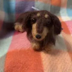 羊毛フェルトミニチュアダックス