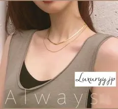 サージカルステンレス スネークチェーン ゴールドシルバー 爆売✨2連 ネックレス