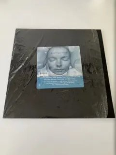 Item thumbnail for item df97f895-e1aa-485c-b7a2-4fd16a8dd5e8