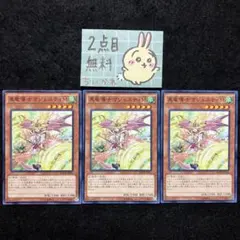 Pen@プロフ必読様 リクエスト 2点 まとめ商品