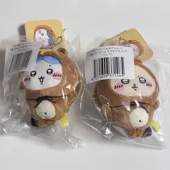 ハチワレ　ラッコ　たぬきだもんくじ　C賞　セット③