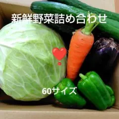 【兵庫県産】限定値下げ★夏野菜詰め合わせ　キャベツ　なす　ピーマン　60サイズのサムネイル