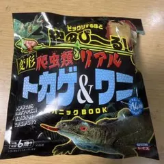 Item thumbnail for item c1628b12-d367-48b7-8990-2a7f67adc032