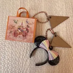 ディズニー　キーホルダー　２点セット　40周年