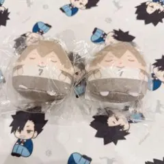 ハイキュー　くじメイト　ぬいくじ　E賞　木葉秋紀２点