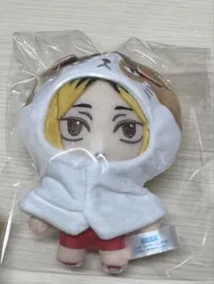 孤爪研磨 ぬいぐるみ レア セガラッキーくじ ハイキュー！！ 音駒