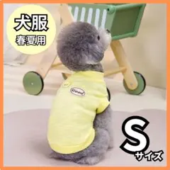 Item thumbnail for item ba600e9d-9308-4b6f-814f-17c542f91af2