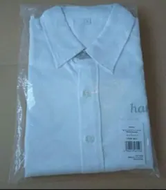 Item thumbnail for item 1428ceab-b31b-4dc3-8732-c814d1dc7371