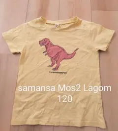恐竜柄　半袖Ｔシャツ　サマンサモスモスラーゴム　男の子　ティラノサウルス　120のサムネイル