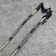 スキーストック