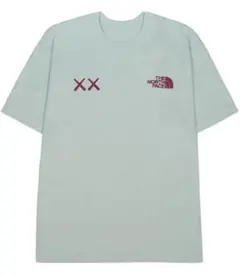 ザ ノース フェイス カウズ Tシャツ アイス ブルー　L